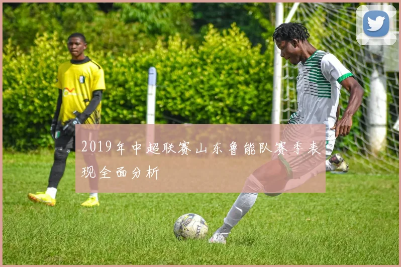 2019年中超联赛山东鲁能队赛季表现全面分析